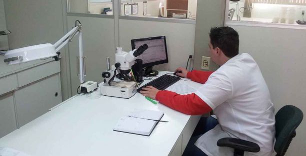 Sistema de Informatizado de Análise de Sementes
