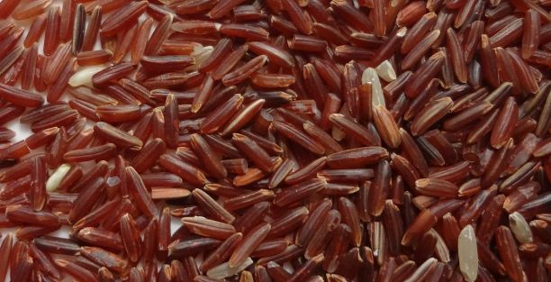 Arroz Vermelho